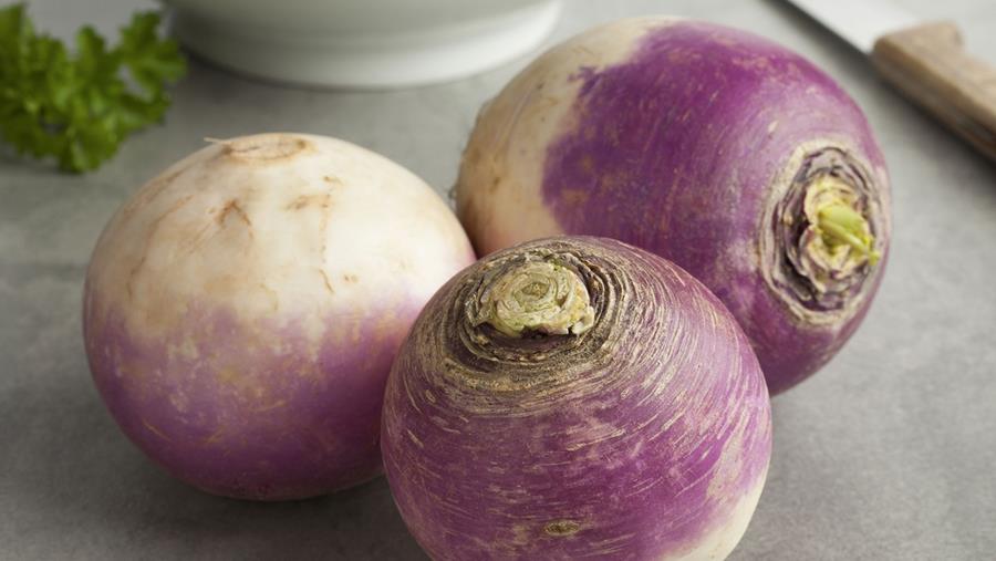 Le navet, un aromatisant fort