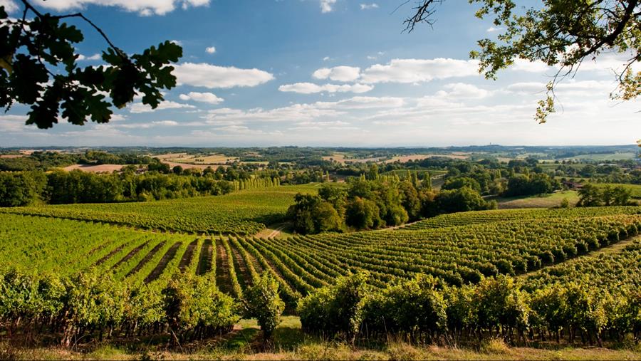 Avec les labels AOP/IGP, l’Europe défend ses terroirs