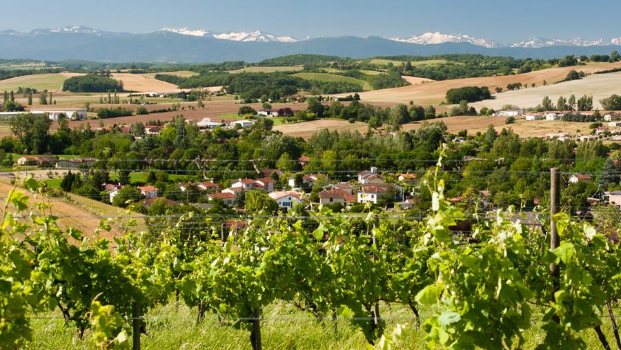 Au cœur des terroirs européens