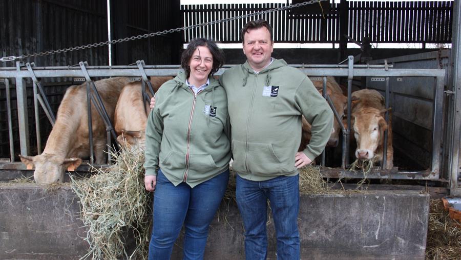 Bœuf issu de l'agriculture biologique de la boucherie à la ferme De Vierklaver