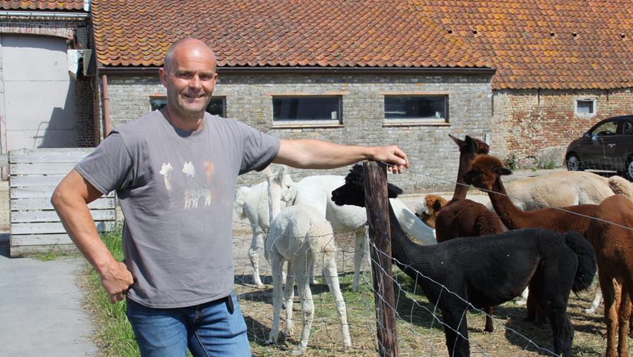 La boucherie de la ferme Hof Ter Meulen est spécialisée dans les porcs Mangalica