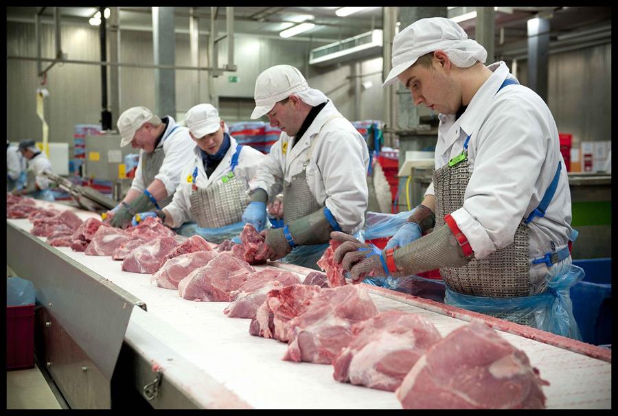 L'INDUSTRIE DE LA VIANDE VERS LA VIANDE DE DEMAIN