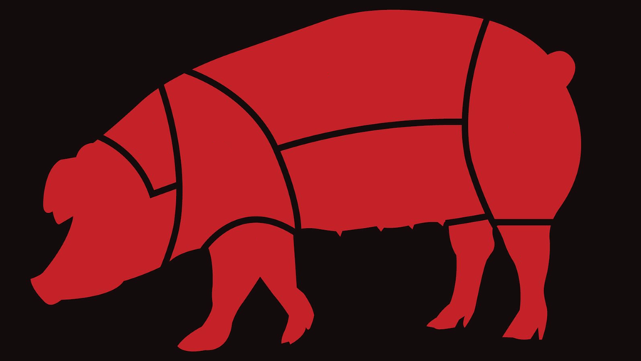 Le porc belge, un élevage pur race riche de son histoire