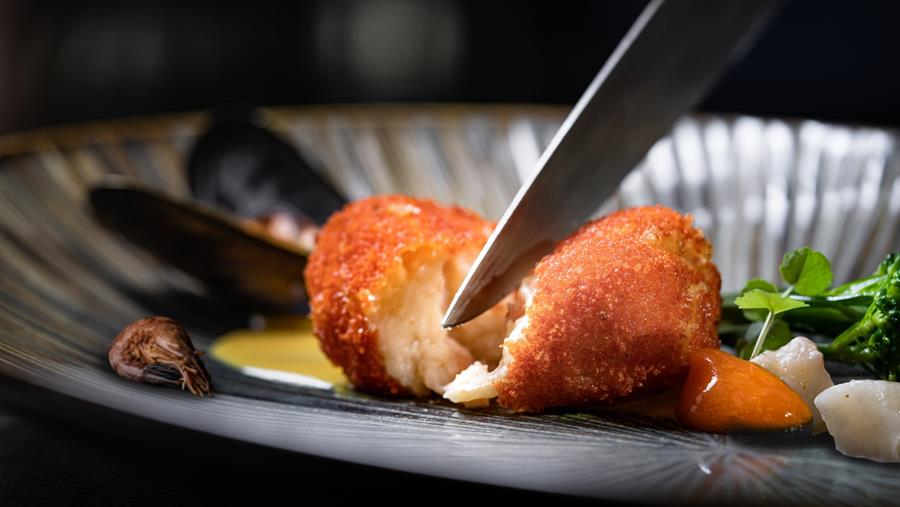 Un festin avec les croquettes culinaires Gastronello