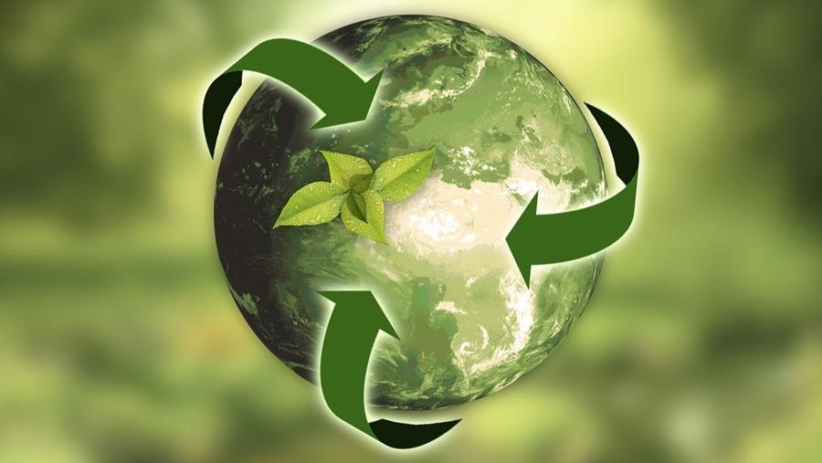 Eco-Score: qu'est-ce que c'est et quelles sont les possibilités?