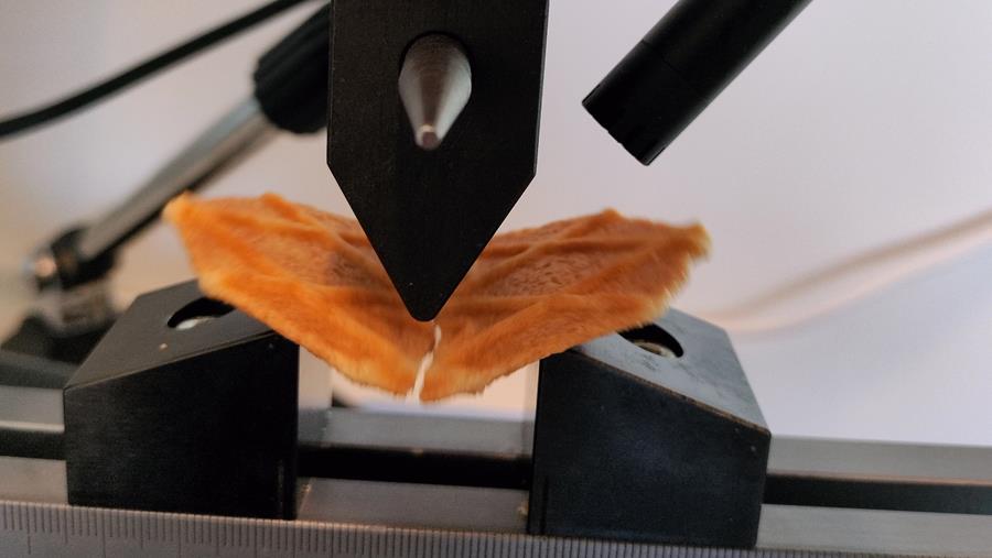 KRAK: op zoek naar de perfecte crunch